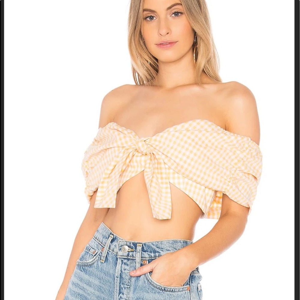 Revolve Privacy please gingham cottage core tie front crop top